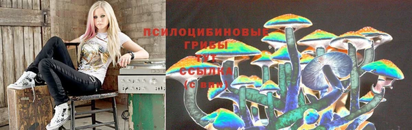 ПСИЛОЦИБИНОВЫЕ ГРИБЫ Белокуриха