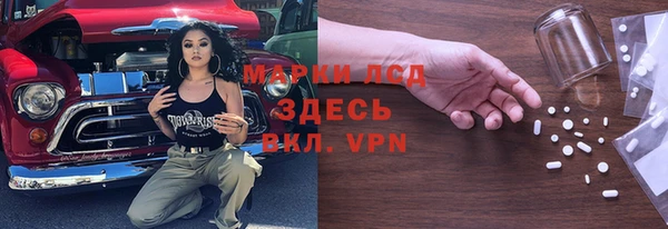 ПСИЛОЦИБИНОВЫЕ ГРИБЫ Белокуриха